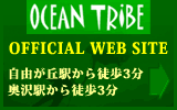 oceantribe official web site
